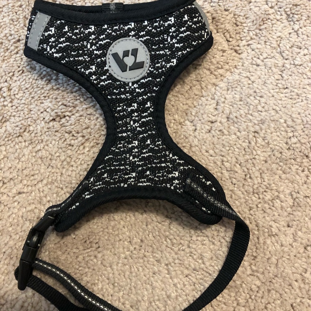 XS dog halter